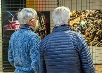 Bilderausstellung Haubentaucher