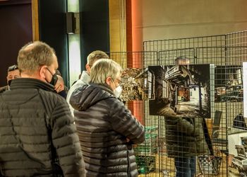 Bilderausstellung Haubentaucher