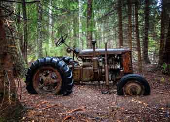 Traktor im Wald