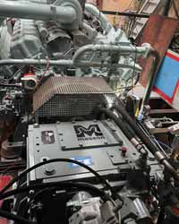 MS Pankgraf Motor