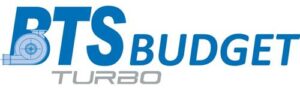 BTS Budget Logo
